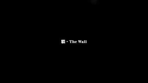 牆 －01  彭韫 錄像 循环 2011