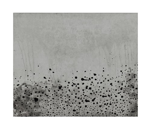 孤獨的繁衍，吳麗嫦，50 x 60 cm，銅版蝕刻 版次：2/10，2014
