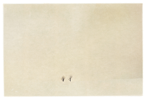 Biei, Hokkaido, Japan，劉善恆，58 x 39 cm，手製紙攝影，版次：5，2013
