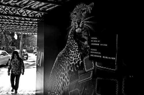 等待捕食中 António Duarte Mil-Homens 23.98 x 36.03 cm 黑白相紙 2008
